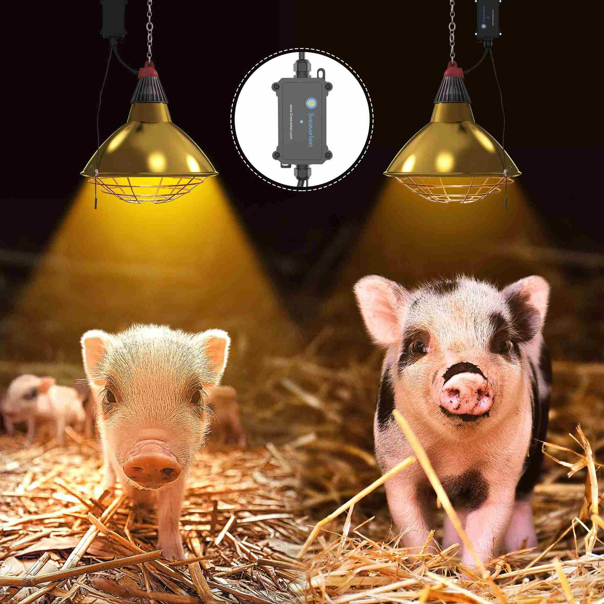 Baby Animal Heat Lamp | Sveaverken HeatLamp